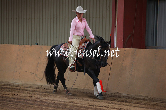 nswrha_reininginthealps_0702