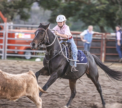 IMG_0351Jugiong2