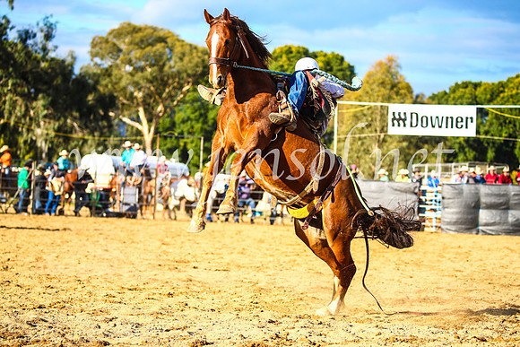TumutRodeo2017_2407