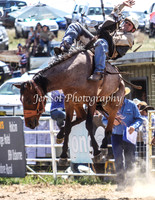 Bungendore2011_0422