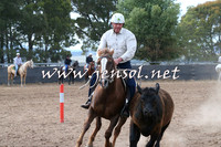 Novice