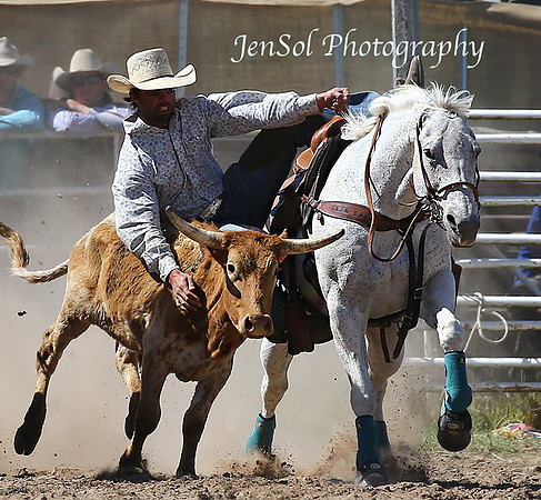 SteerWrestling-3609