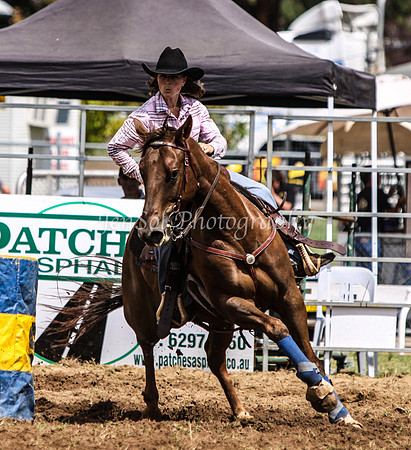 IMG_0226Qbn1