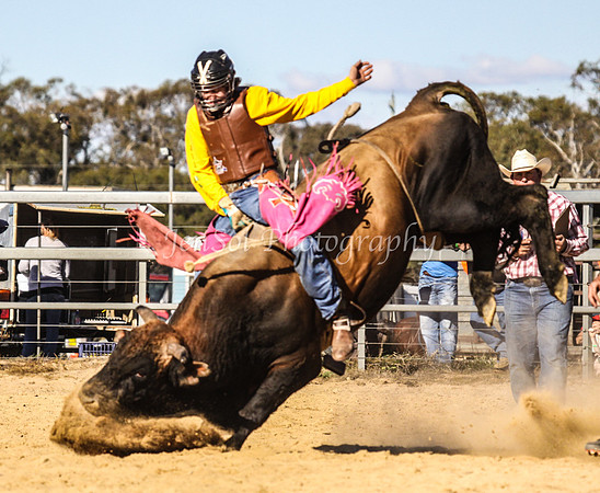 IMG_0622Jindy