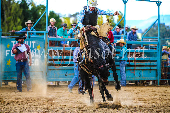 TumutRodeo2017_1451