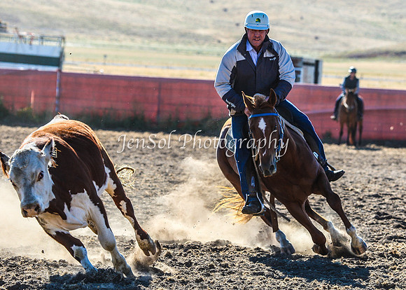 AdaminabyCampdraft2015_0016