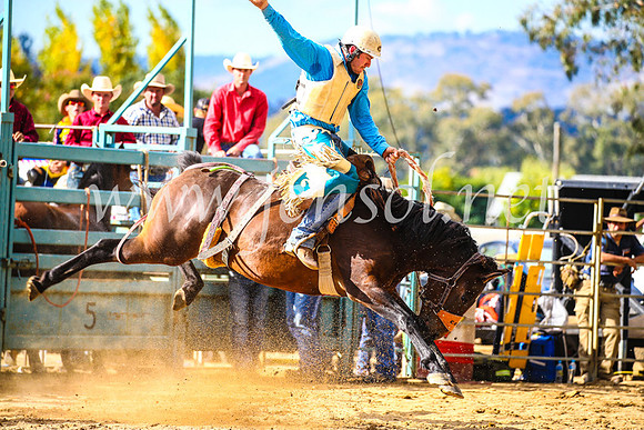 TumutRodeo2017_1845