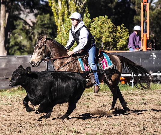 IMG_0275Jugiong1