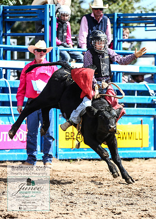 BraidwoodRodeo2019_1583