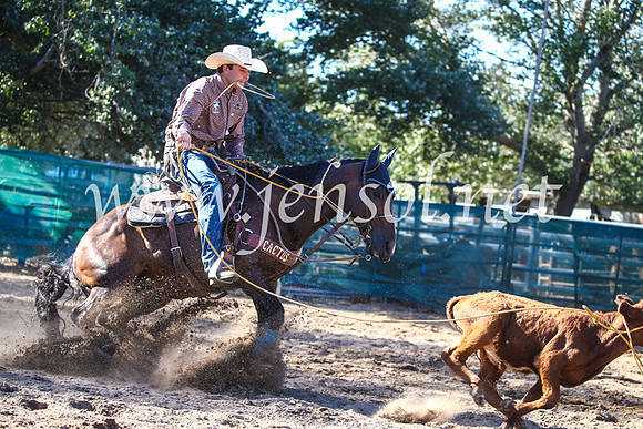 CoomaRodeo2017_2233