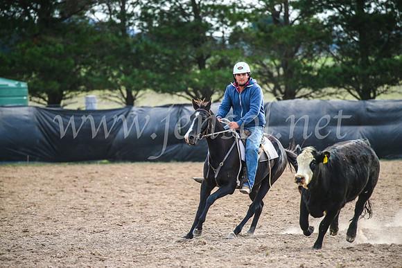 GoulburnCampdraft2017_6707