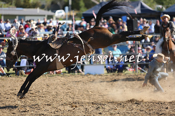 JindabyneRodeo2015_2577
