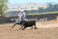 Novice Final