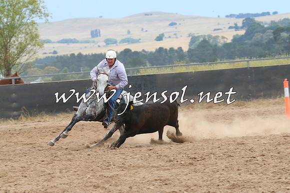 BraidwoodCampdraft2014_2699
