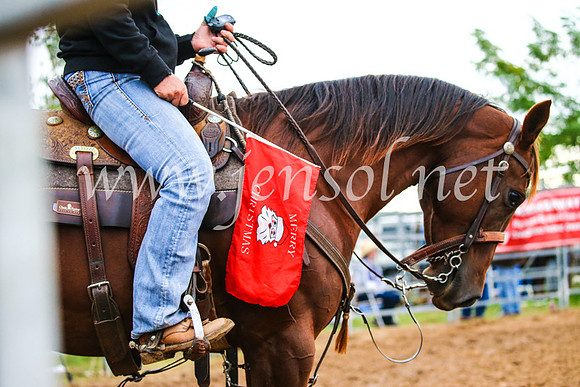 BraidwoodRodeo2017_3462