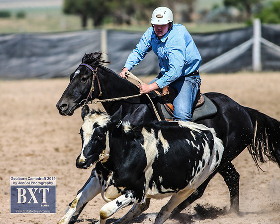GoulburnCampdraft2019_3773