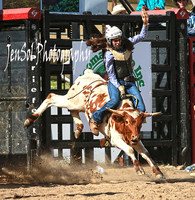 Ladies Steer Ride