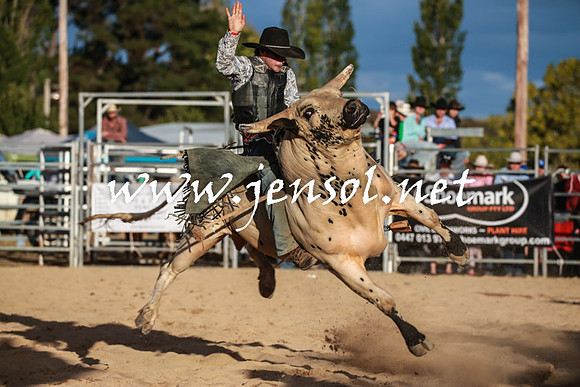 BraidwoodRodeo2016_5289