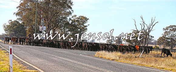 STBHTubbulCampdraft2015_0947