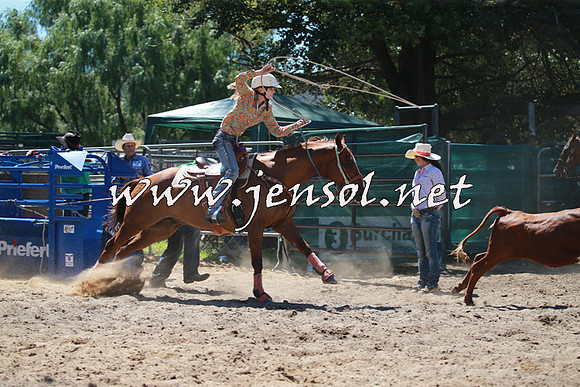 CoomaRodeo2016_1108