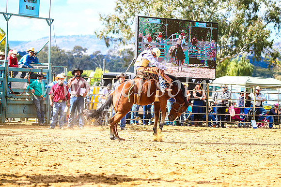 TumutRodeo2017_1737