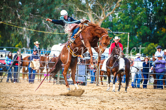 TumutRodeo2017_2291