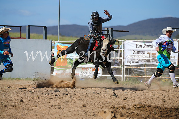 BungendoreRodeo2016-3744