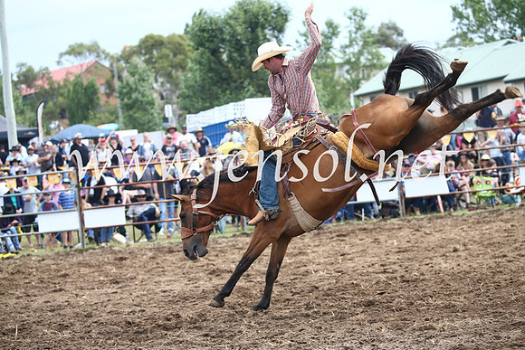 JindabyneRodeo2016_2966