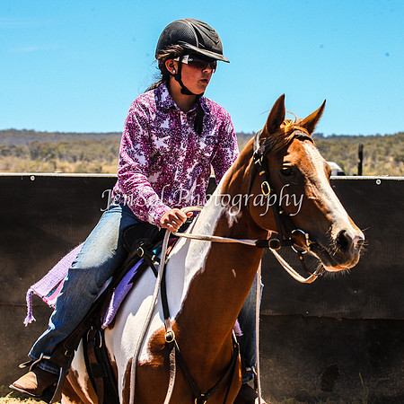 AdaminabyCampdraft2015_0397