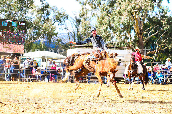 TumutRodeo2017_1608