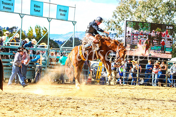 TumutRodeo2017_1593