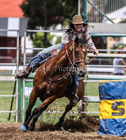 IMG_0303Qbn1