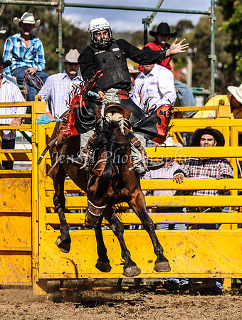 IMG_0096Qbn2