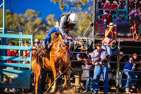 TumutRodeo2017_2623