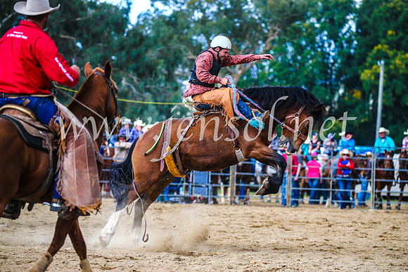 TumutRodeo2017_1510