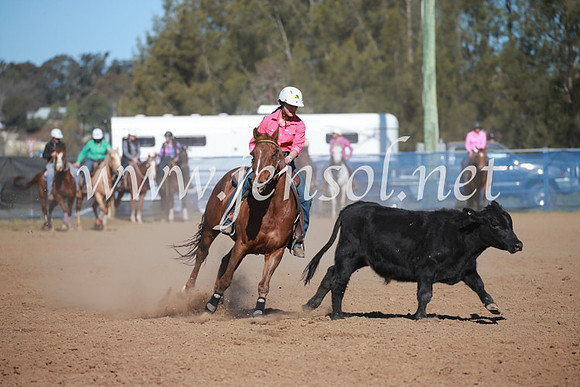 CCCampdraft2016_6149