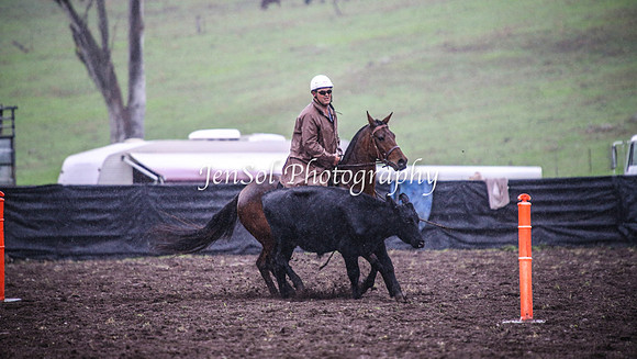 CabanandraCampdraft2014_3045