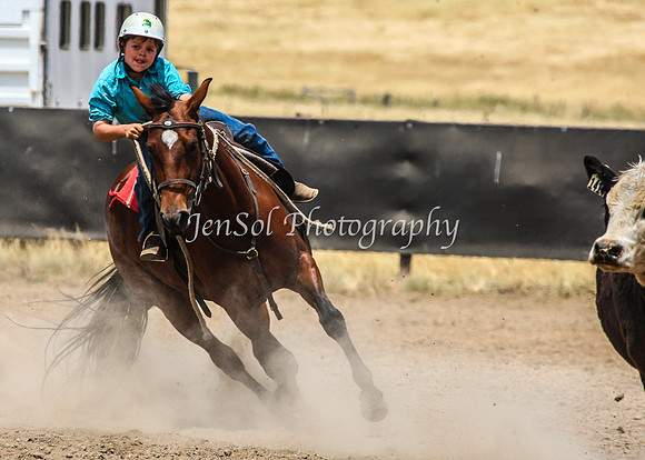 AdaminabyCampdraftSun2015_3258