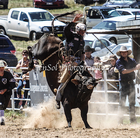 Bungendore2011_0854