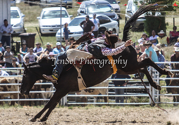 Bungendore2011_0741