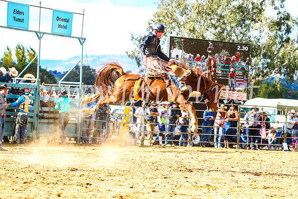 TumutRodeo2017_1590