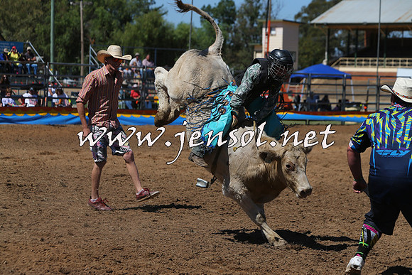 ForbesRodeo2015_0101