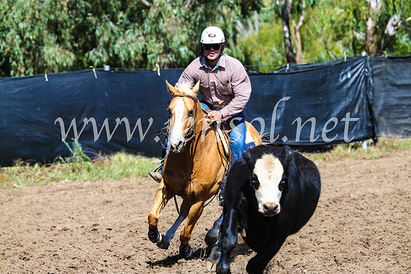 GundagaiCampdraft2017_0840