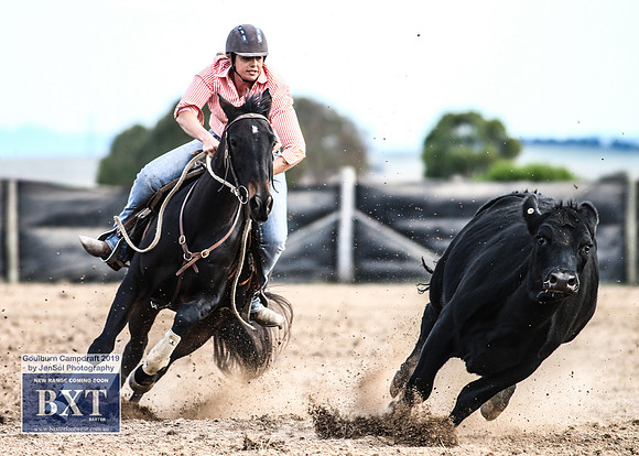 GoulburnCampdraft2019_4577