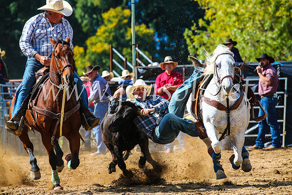 TumutRodeo2017_0904