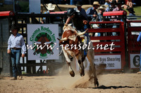 Steer Rides