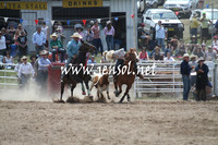 Steer Undecorating