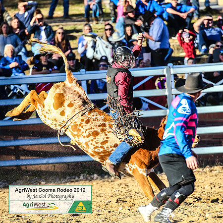 CoomaRodeo2019_1742