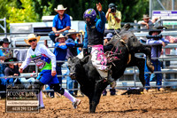 Steers