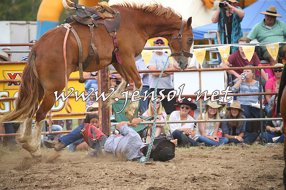 JindabyneRodeo2014_1343